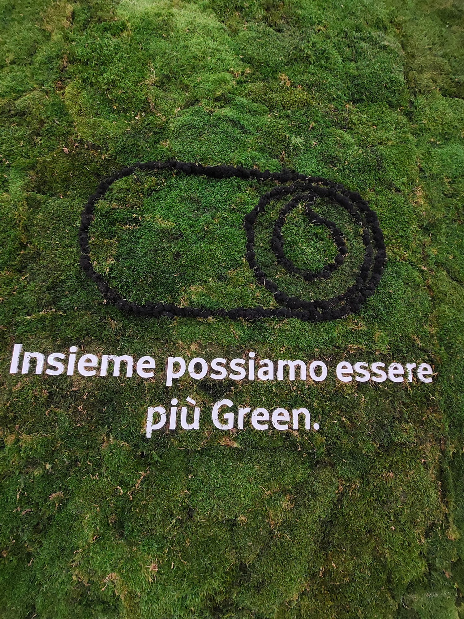 Vetrine Green Vodafone